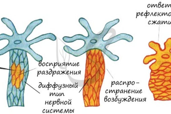 Kra16.at